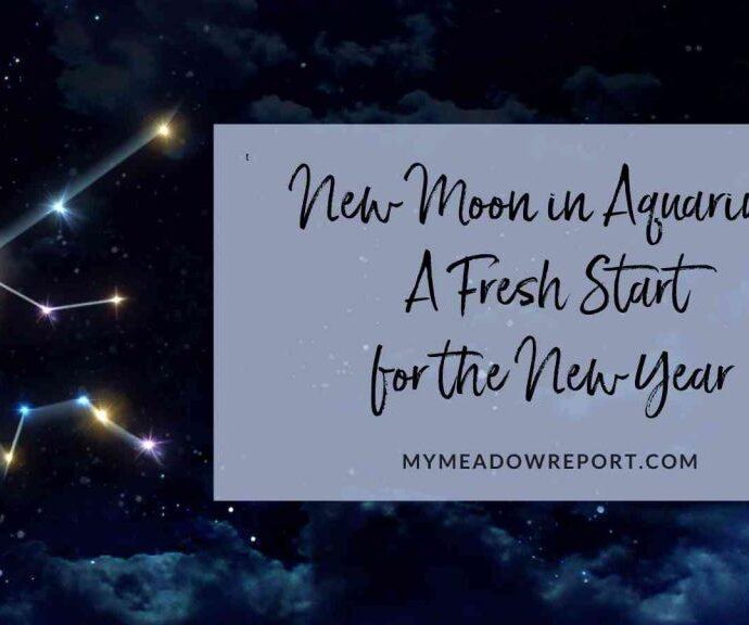 New Moon In Aquarius – New Beginnings