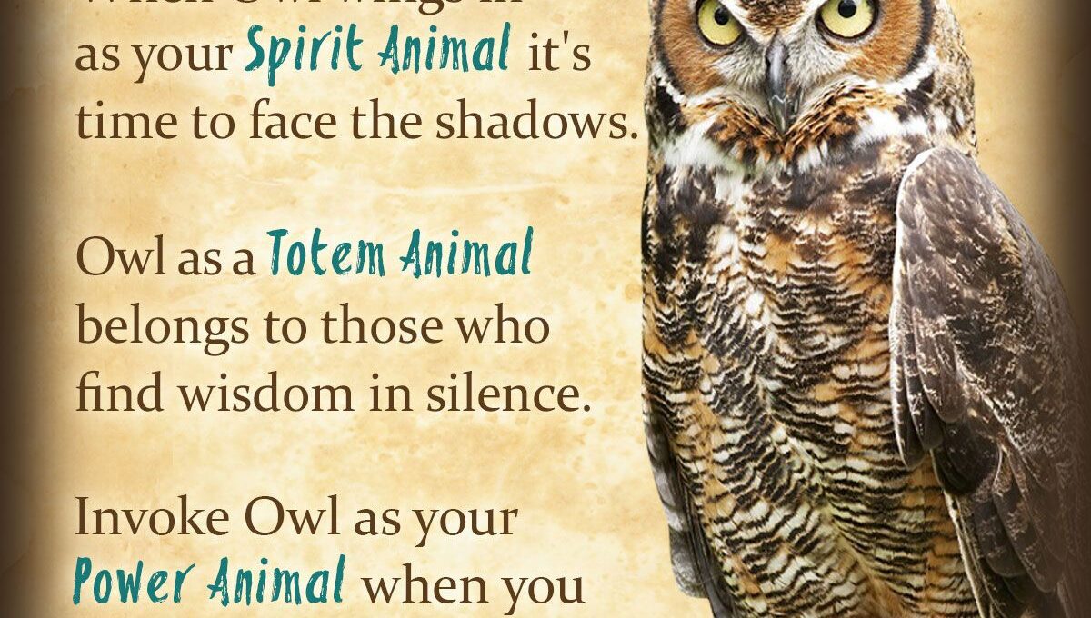 Owl Symbolism and Their Meanings in Spirituality