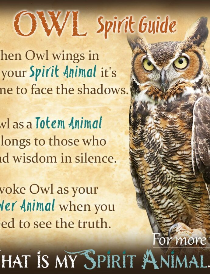 Owl Symbolism and Their Meanings in Spirituality
