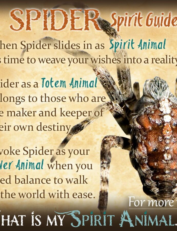 Spider Symbolism and Their Meanings in Spirituality