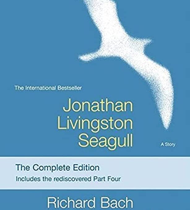 Seagull Symbolism: 10 Spiritual Messages Of The Seagull