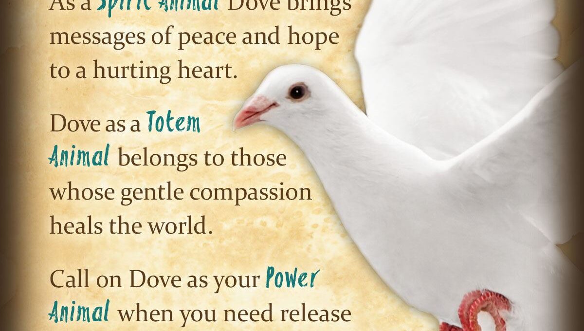 The Meaning of a Dove Sighting