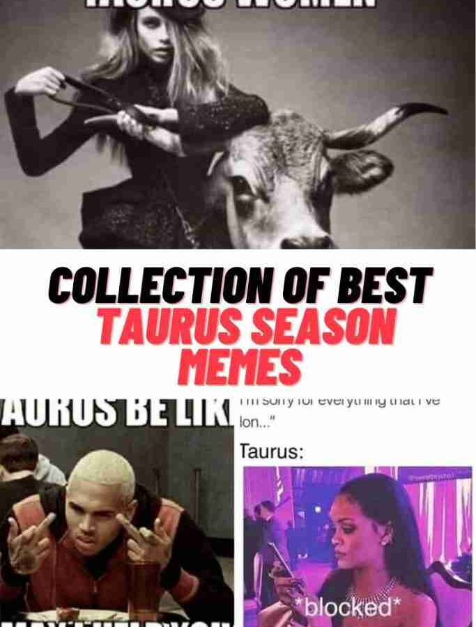10 Ways To Have The Best Taurus Season
