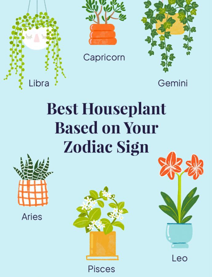 An Astrologer’s Top Tip for Living With Each of the Zodiac Signs