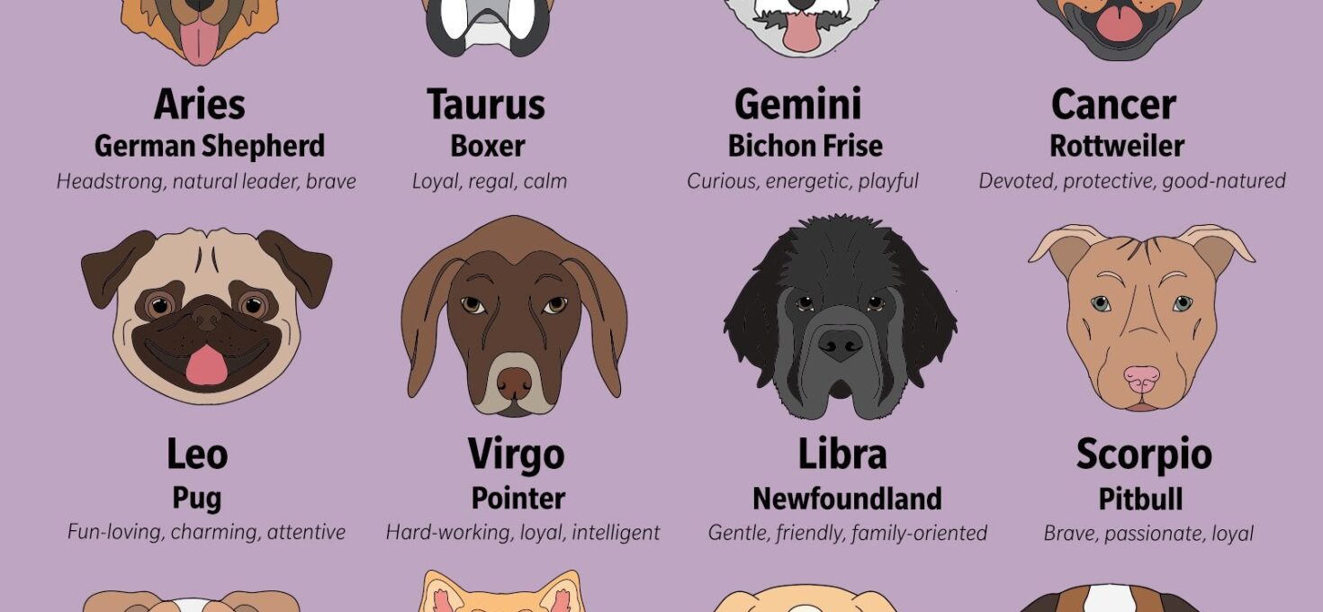 What Is Each Zodiac Sign’s Ideal Pet? Rebekah Lee Ives