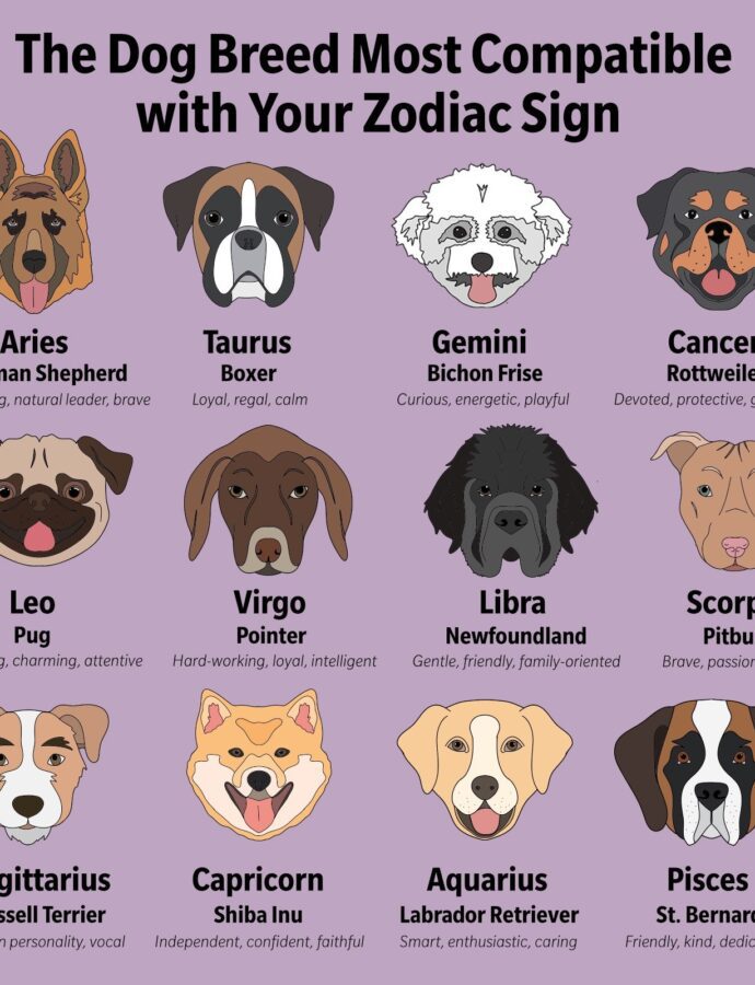 What Is Each Zodiac Sign’s Ideal Pet?