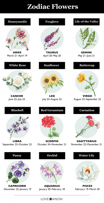 What Flower Represents Each of the Zodiac Signs?