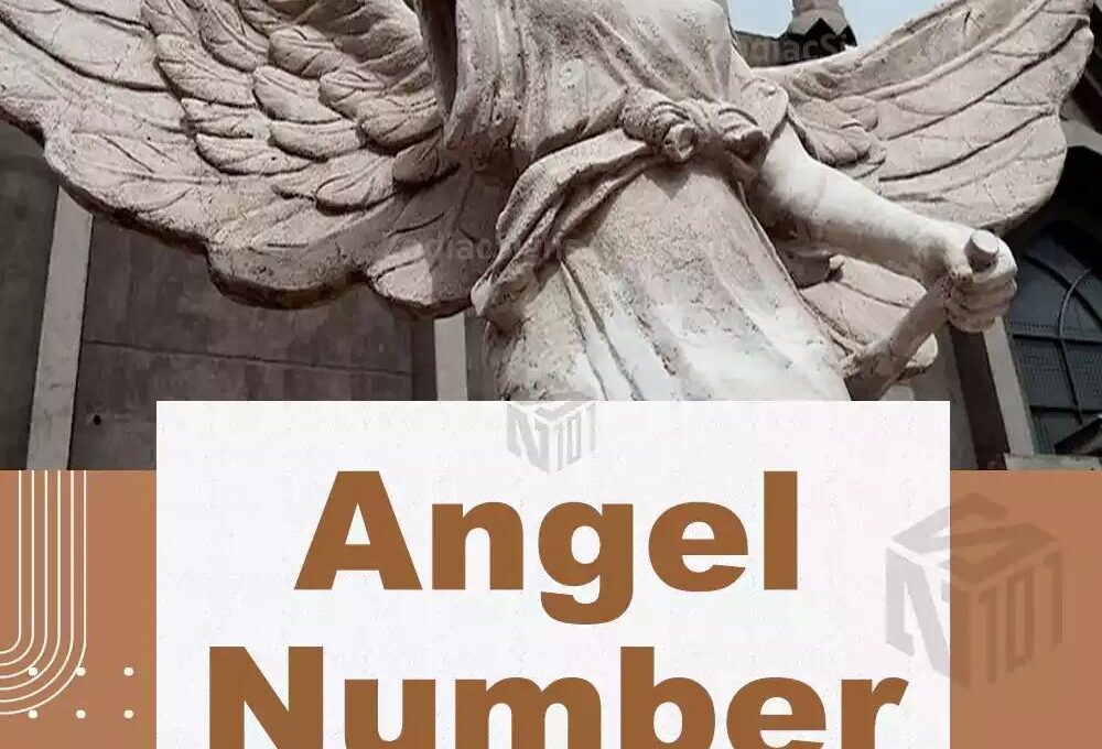ANGEL NUMBER 3423