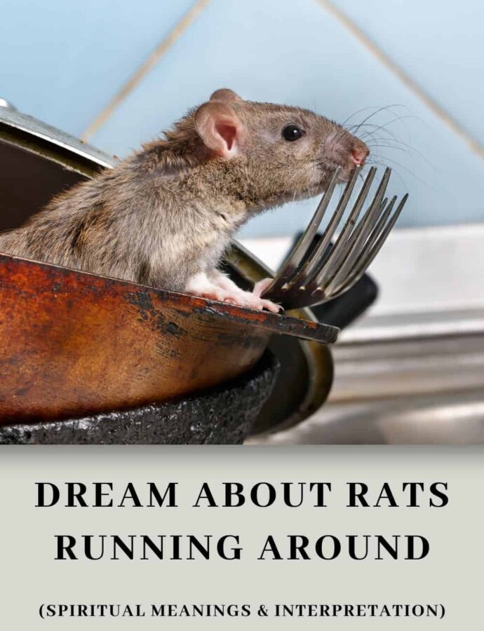 What Do Dreams About Rats Mean?