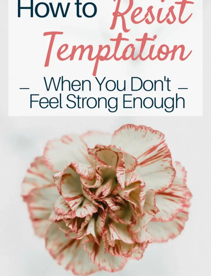 11 Strategies For Resisting Temptations
