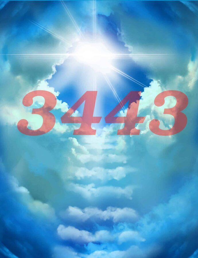ANGEL NUMBER 3442