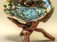 Abalone Shell with Stand
