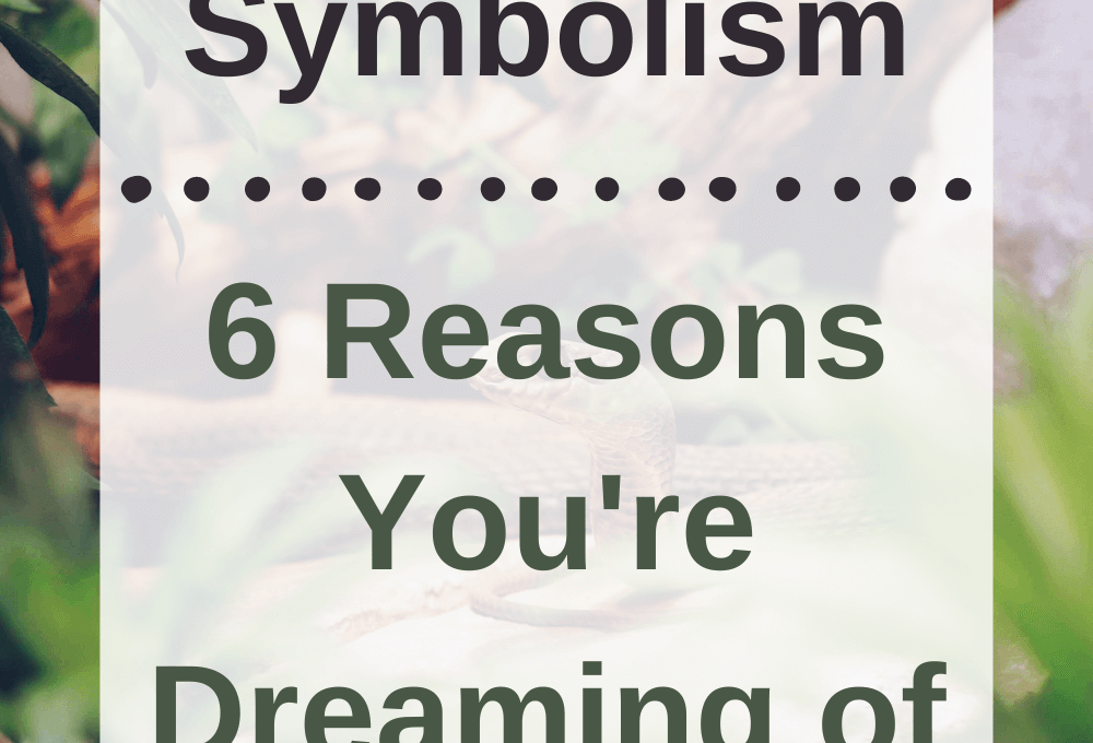 Snake Dream Symbolism: 6 Reasons You’re Dreaming of Snakes