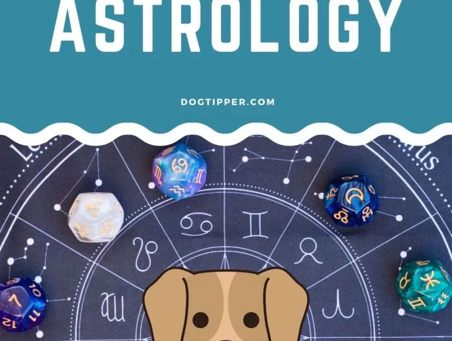 What Your Pet’s Zodiac Sign Says About Them