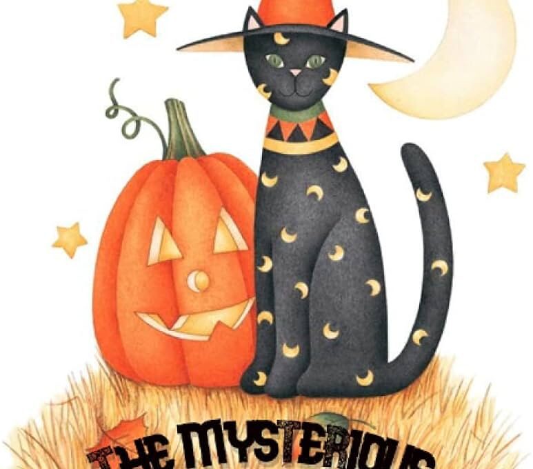 Halloween and the Mysterious Black Cat