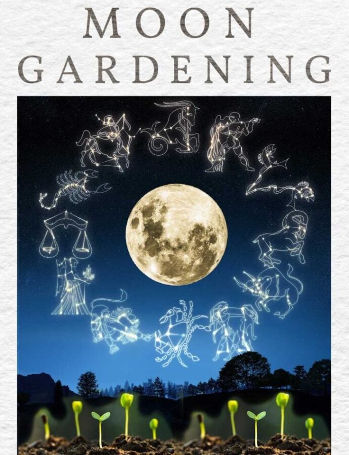The Esoteric Gardener’s Calendar: Aligning Planting and Harvesting with Lunar Phases