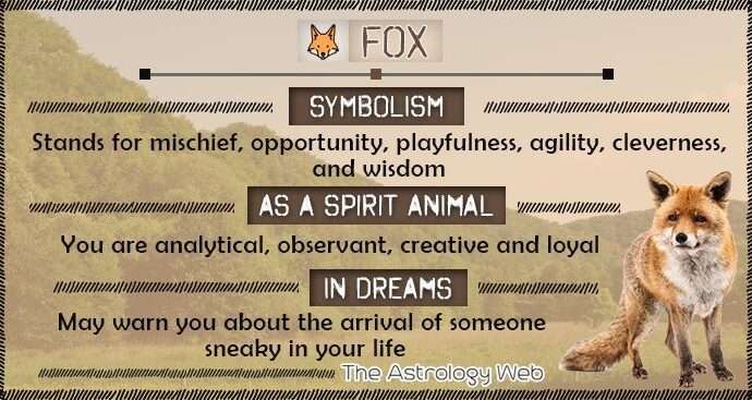 Fox Spirit Animal Symbolism and Meaning