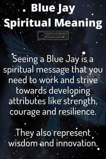 Blue Jay Spirit Animal Symbolism and Meaning