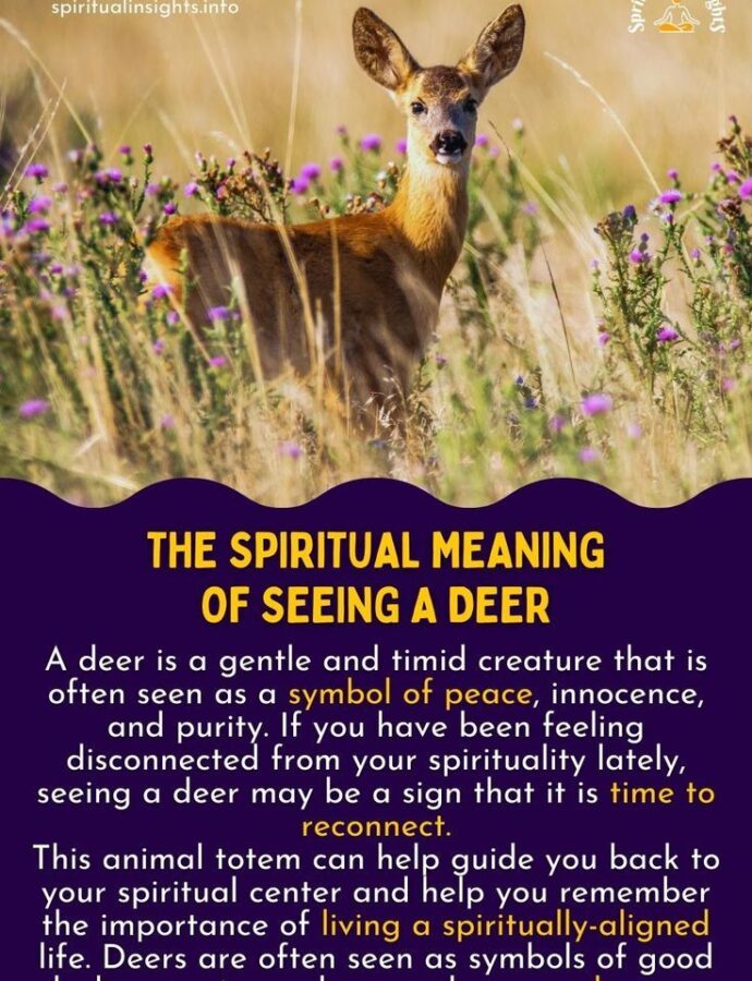 Deer Spirit Animal – Symbolism and Meaning