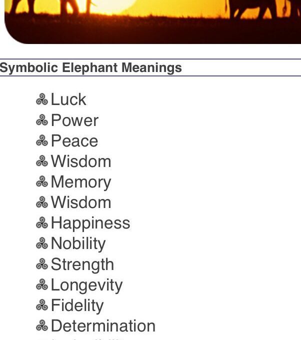 Elephant Spirit Animal – Symbolism and Meaning