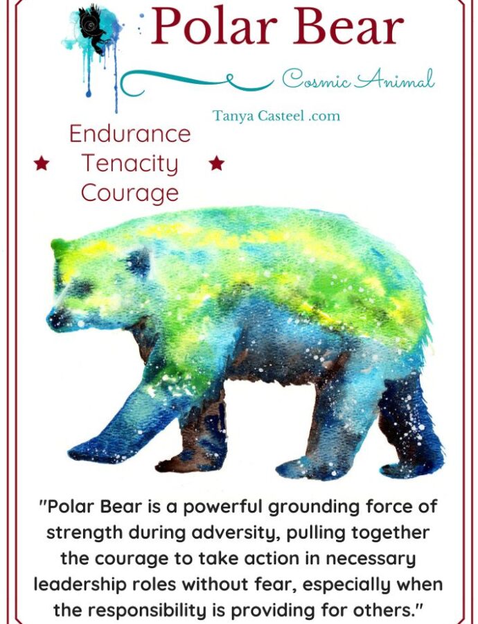 Polar Bear Spirit Animal – Symbolism and Meaning