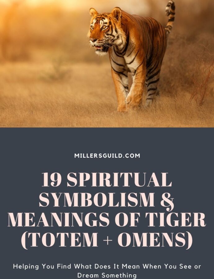 Tiger Spirit Animal – Symbolism and Meaning