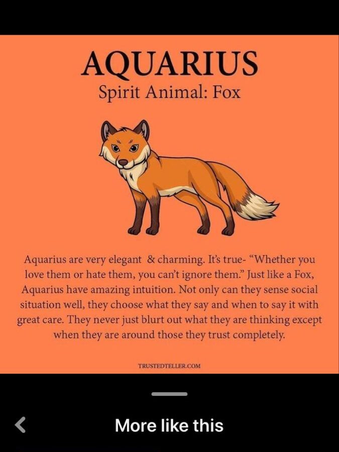 Aquarius Spirit Animal