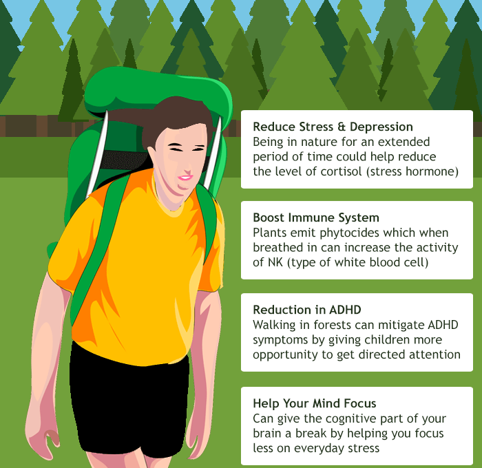 Benefits of Walking in Nature