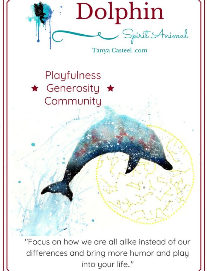 Dolphin Spirit Animal Symbolism and Meaning