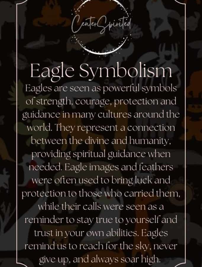 Eagle Spirit Animal: Symbolism and Meaning