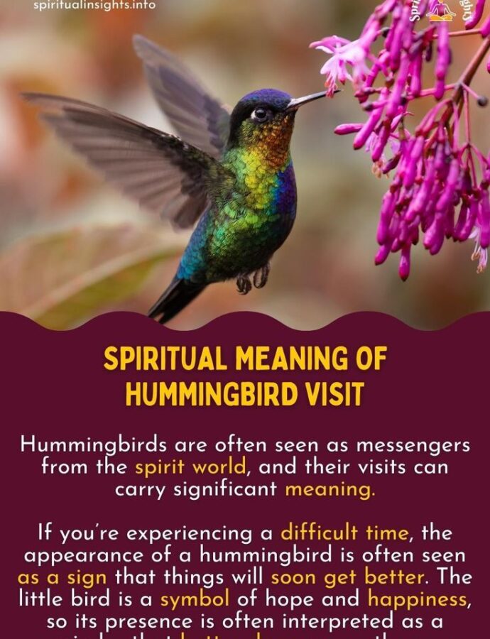 Hummingbird Spirit Animal – Symbolism and Meaning