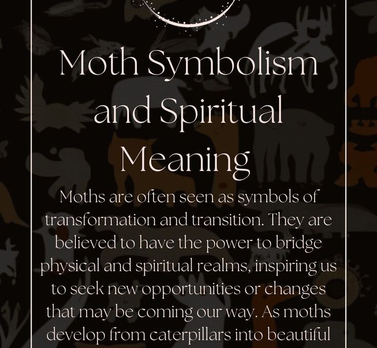 Moth Spirit Animal: Symbolism and Meaning