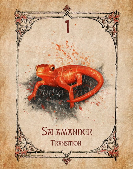 Salamander Symbolism: 7 Spiritual Meanings of the Salamander