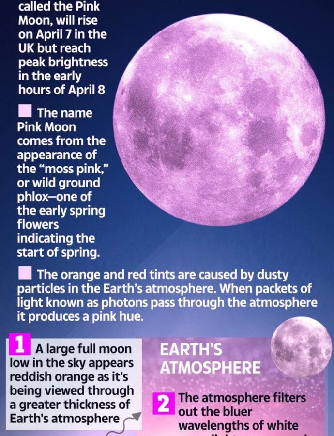 The Spiritual Meaning of the April Pink Moon