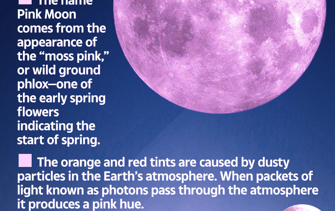 What Is the Significance of the Pink Moon?