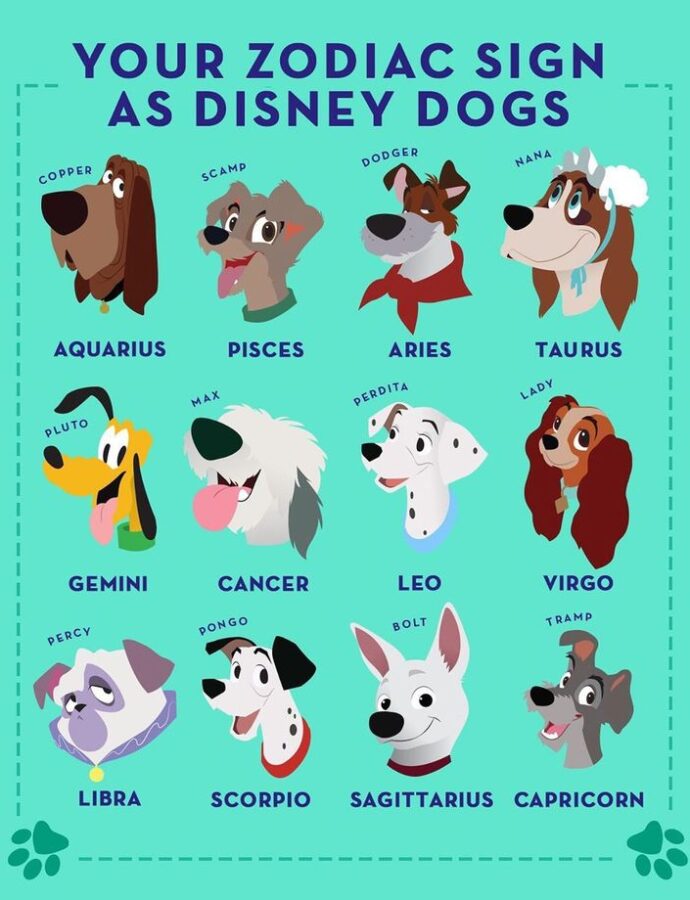 What Sign is Your Pet?