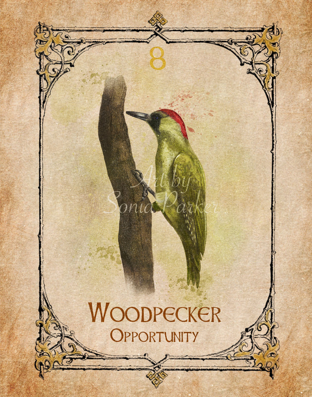 Woodpecker Spirit Animal – Symbolism and Meaning