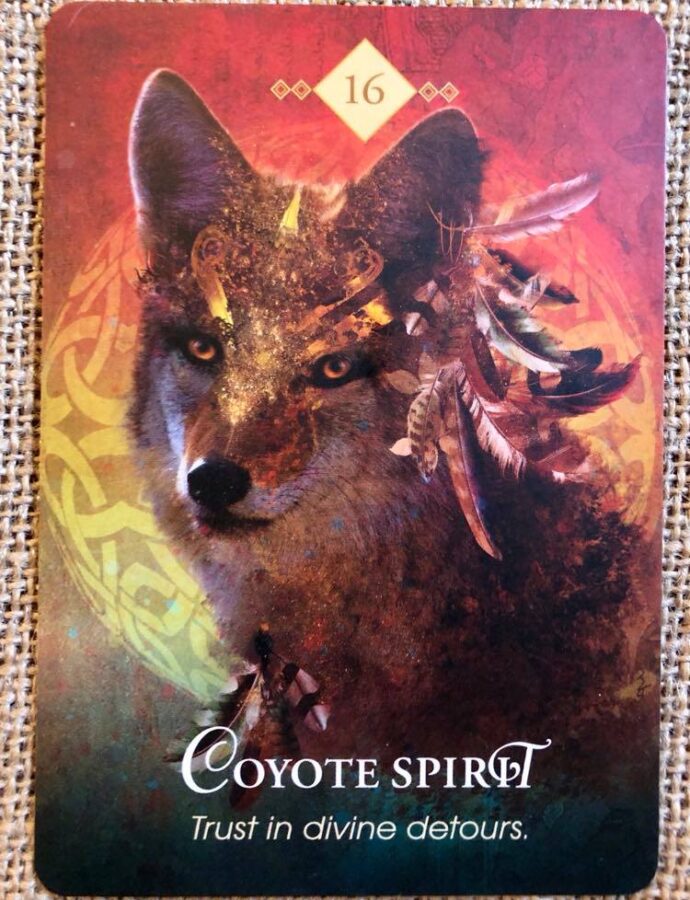 Coyote Spirit Animal