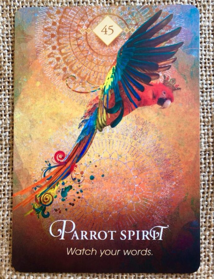 Parrot Spirit Animal