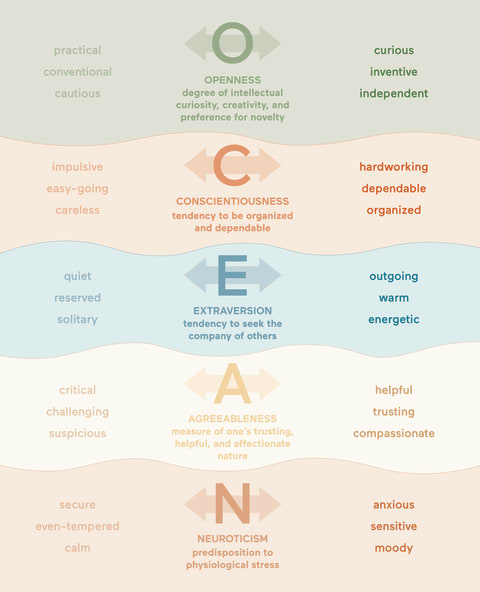 The Big Five Personality Trait Model