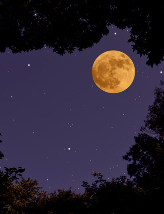 The Strawberry Full Moon Illuminates the Night on June 21, 2024